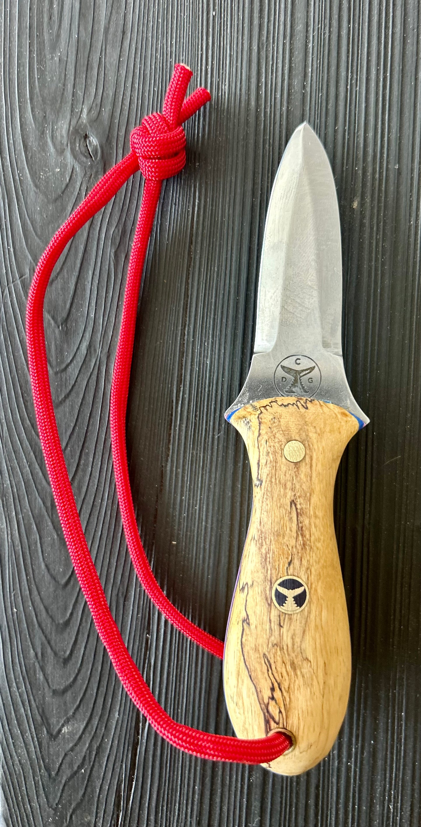 020 - Model One Oyster Tool -  Spalted Maple