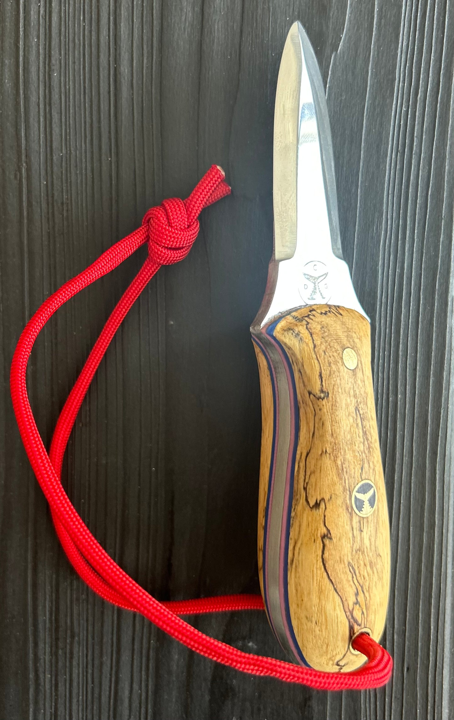 020 - Model One Oyster Tool -  Spalted Maple