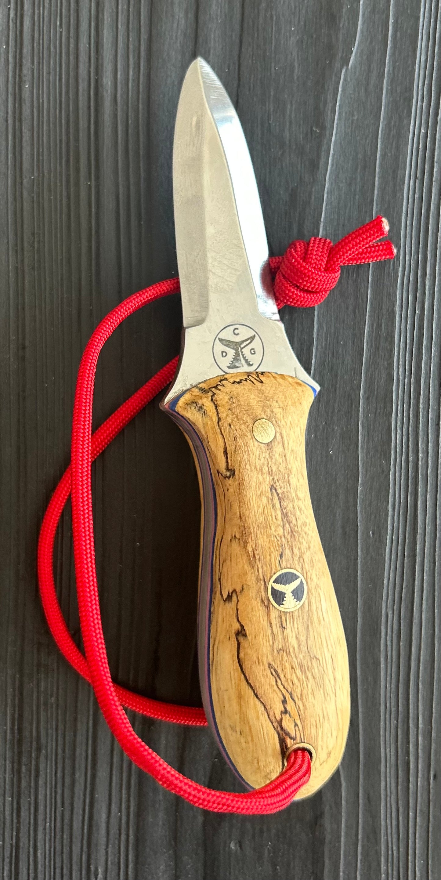 020 - Model One Oyster Tool -  Spalted Maple