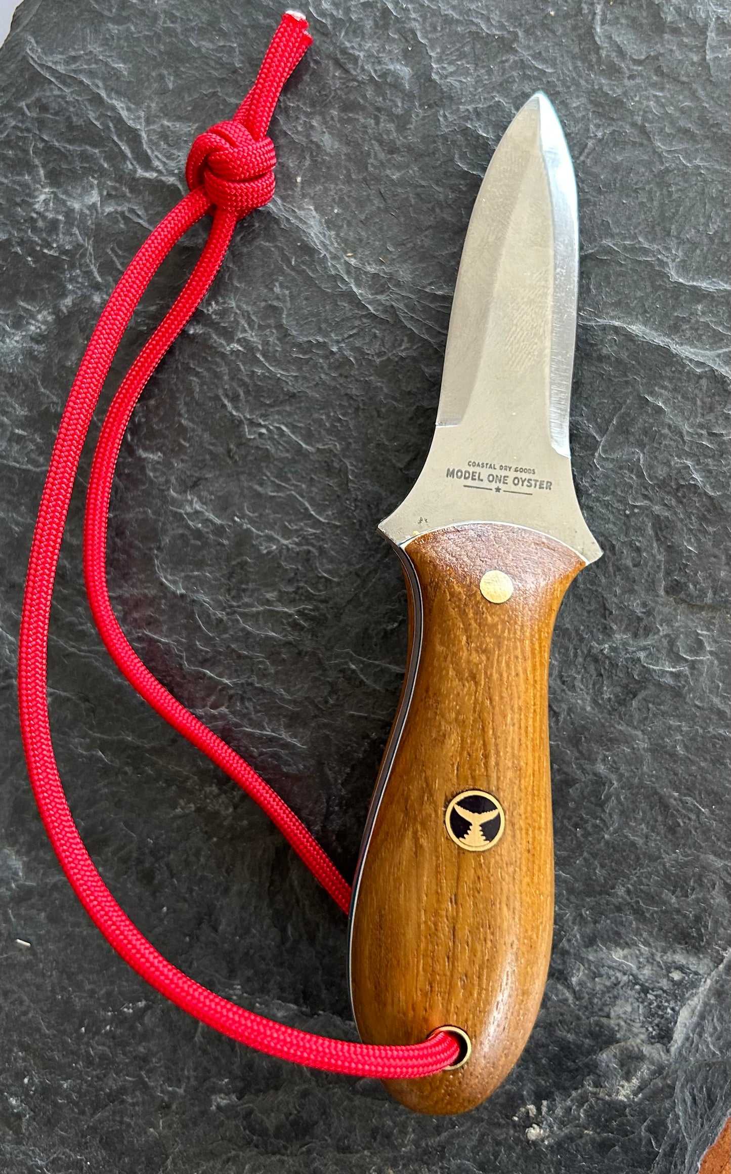 024 - Model One Oyster Tool -  Teak